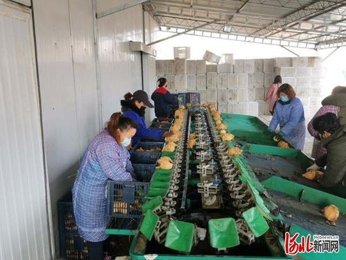 涿州市市場監(jiān)管局為企排憂解難題